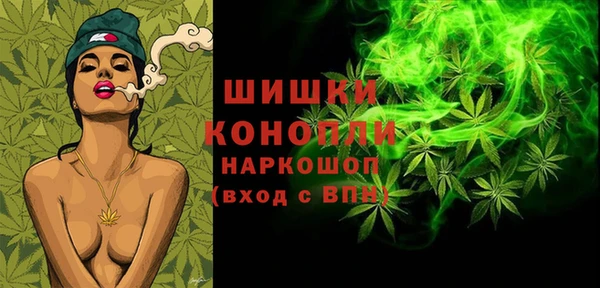 соль ск Богданович
