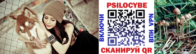 Галлюциногенные грибы Magic Shrooms  Купить  Гвардейск 